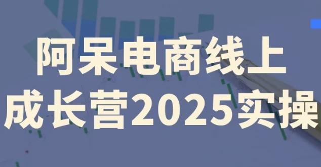 阿呆电商线上成长营2025实操:全流程电商实战课程