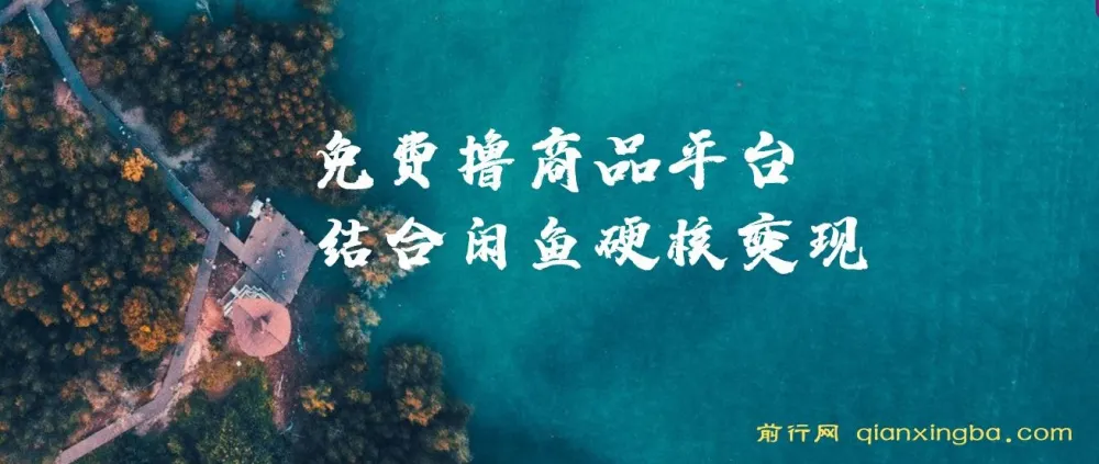 蚁淘生活:免费撸商品与闲鱼双平台硬核变现,小白轻松上手