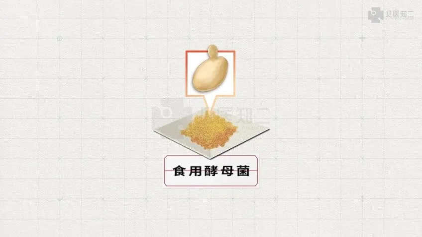 2025高考生物基因工程、跨膜运输与细胞呼吸专题精讲