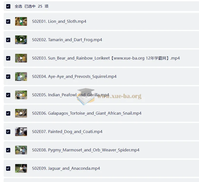 BBC儿童英文节目《Go Wild》：户外自然科普佳作