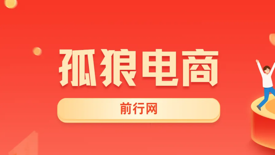 孤狼电商VIP教程：店群运营全攻略