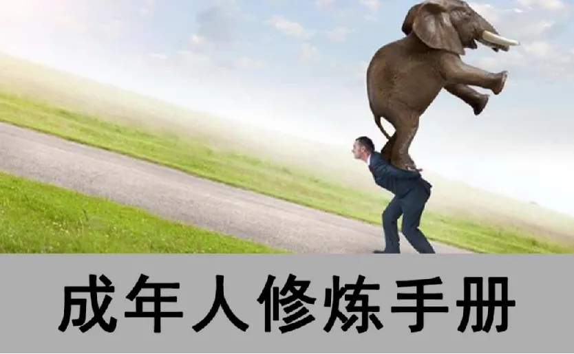 《成年人修炼手册》（4本合订版）