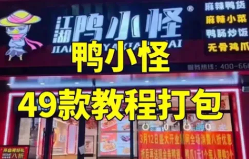 鸭小G全套鸭货配方技术课程