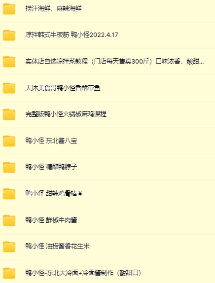 鸭小G全套鸭货配方技术课程