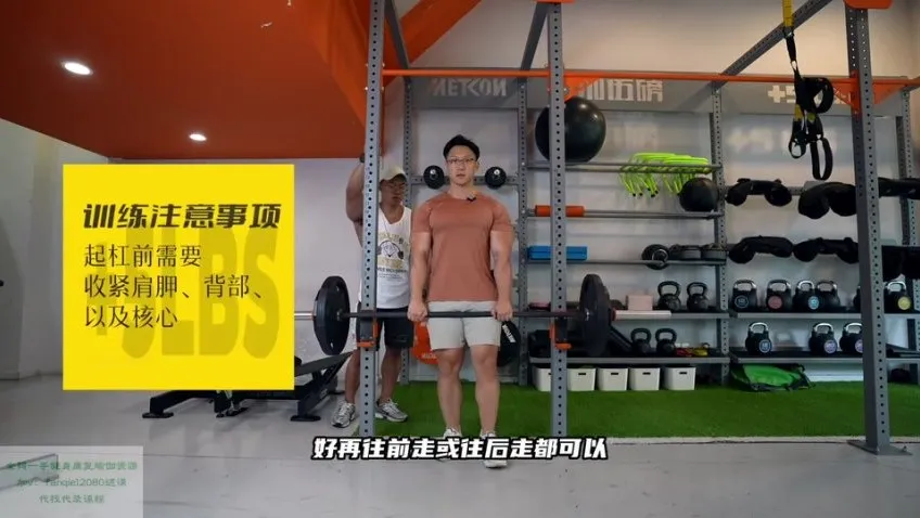 小萝卜四分化高阶健身课程：全年增肌周期训练方案