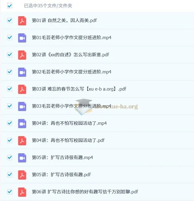 毛芸老师小学作文提分班进阶课程