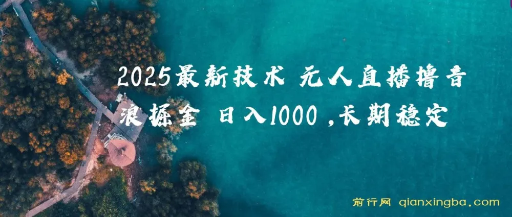 抖音无人直播撸音浪项目：2025全新玩法揭秘