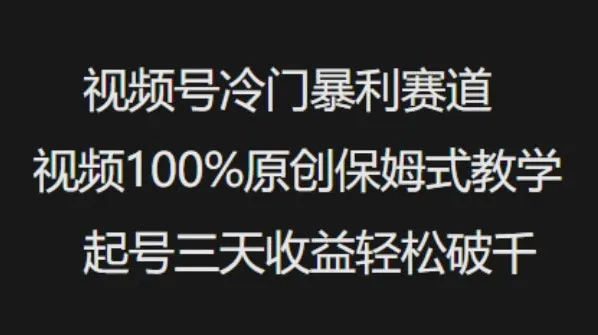 视频号冷门暴利赛道原创教学