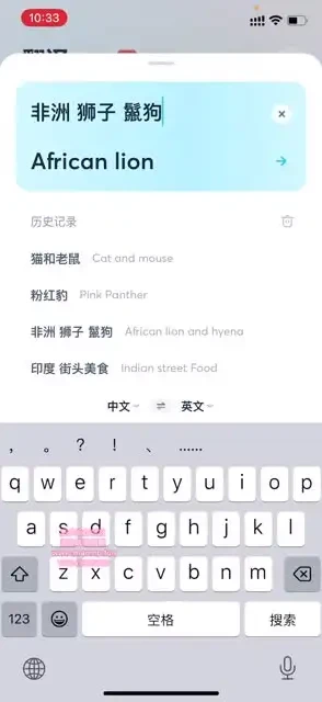 国外美食与视频创业攻略:素材搜索到抖音运营课程
