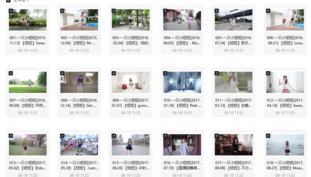 一只小短短舞蹈视频合集