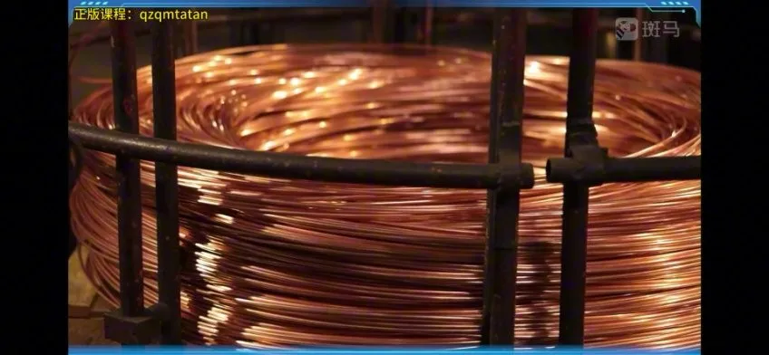 斑马百科：岩石矿物图鉴，12课探索地球宝藏