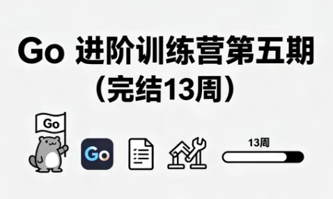 Go 进阶训练营第五期（完结，共13周）