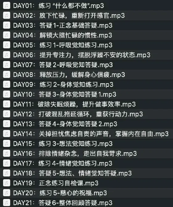 21天高效休息法训练营:基于正念冥想的系统训练课程