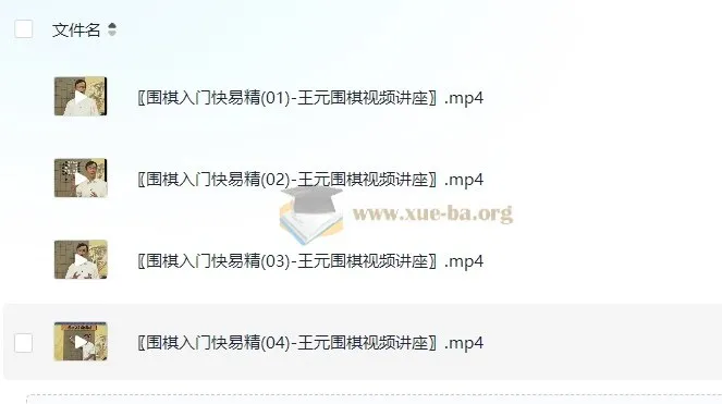 《围棋入门快易精：王元围棋视频讲座》