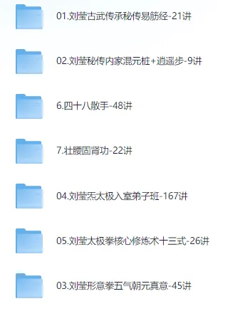刘莹太极拳视频课程合集：涵盖多种功法与拳法教学