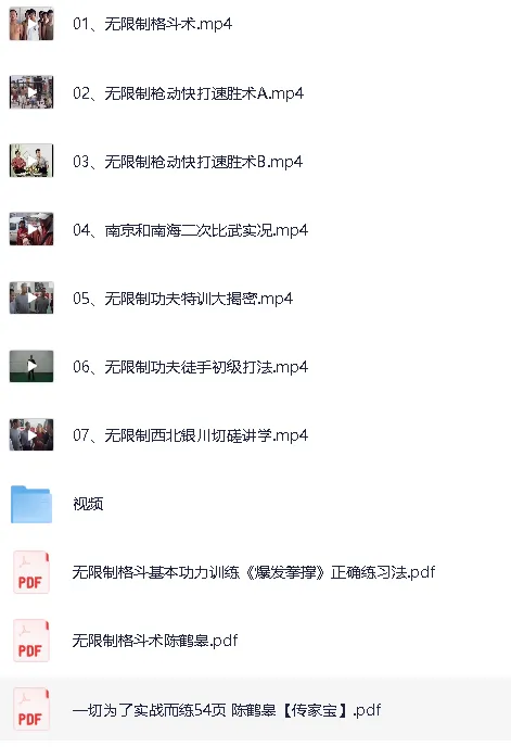 陈鹤皋无限制格斗术：实战导向的厉害防身术