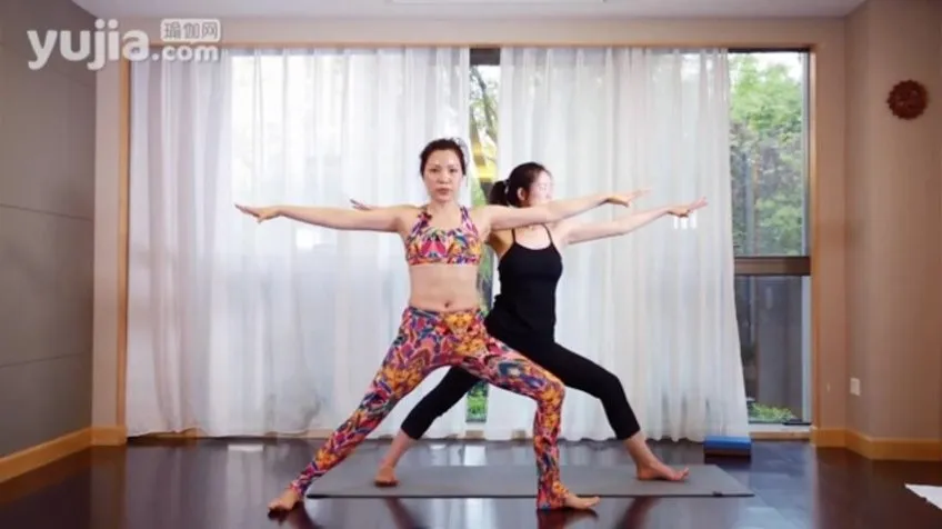 杨淇五行经络瑜伽养生理疗全教程：融合中医与瑜伽的养生之选