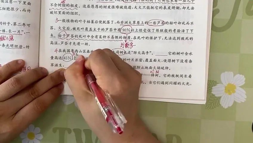 四年级阅读理解61篇精讲：涵盖写景、叙事、神话主题