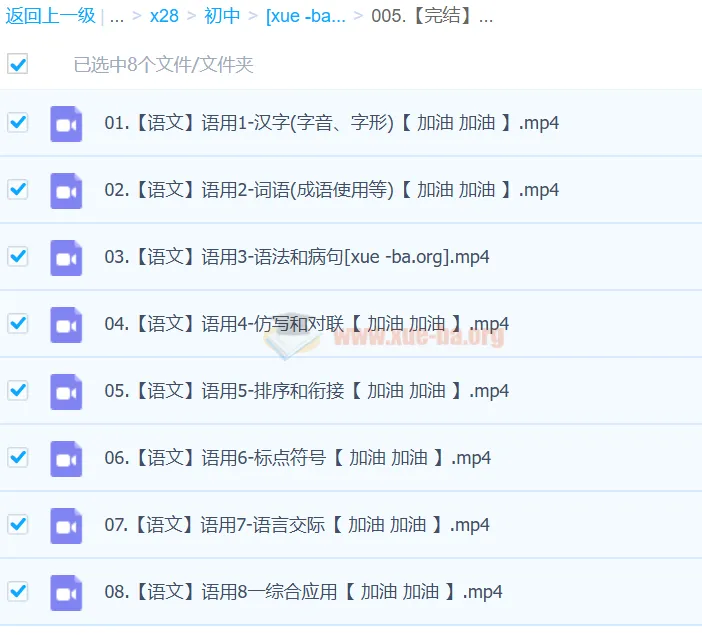 【完结】2024中考语文语言文字运用一本通课程