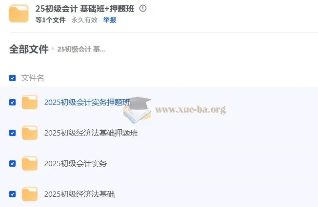 2025年初级会计基础班+押题班课程