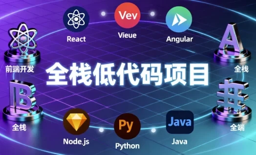 全栈低代码项目：手写企业级低代码全栈项目教程