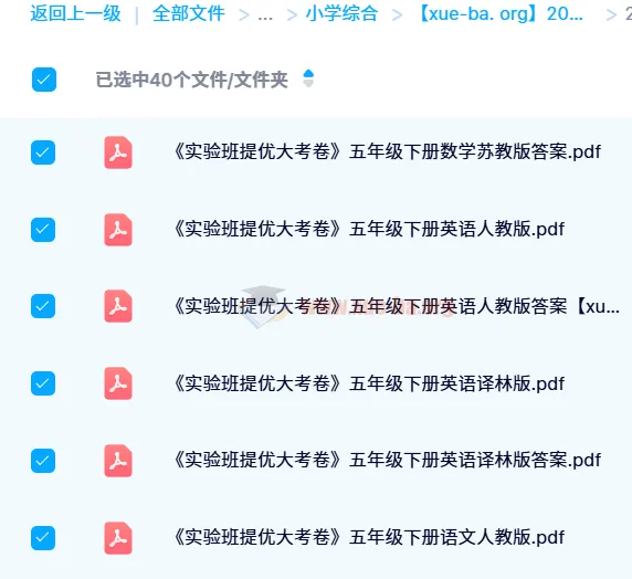 2024 春《实验班提优大考卷》