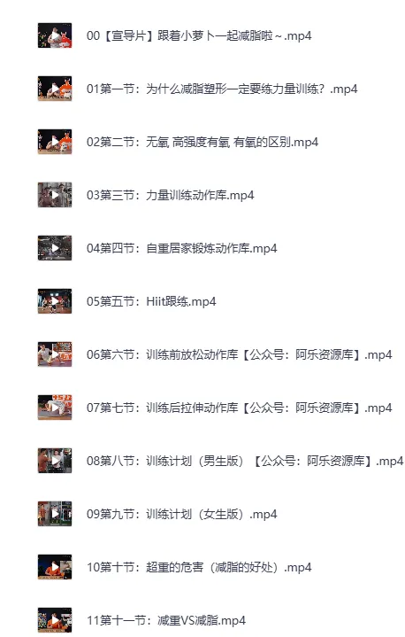 B站零基础减脂塑形课程：男女适用（完结）