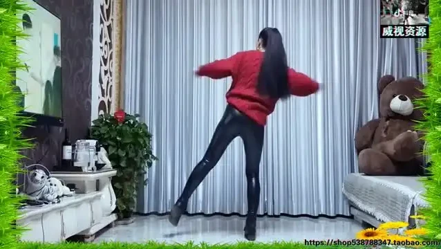 抖音热门舞蹈全攻略：从入门到精通教程