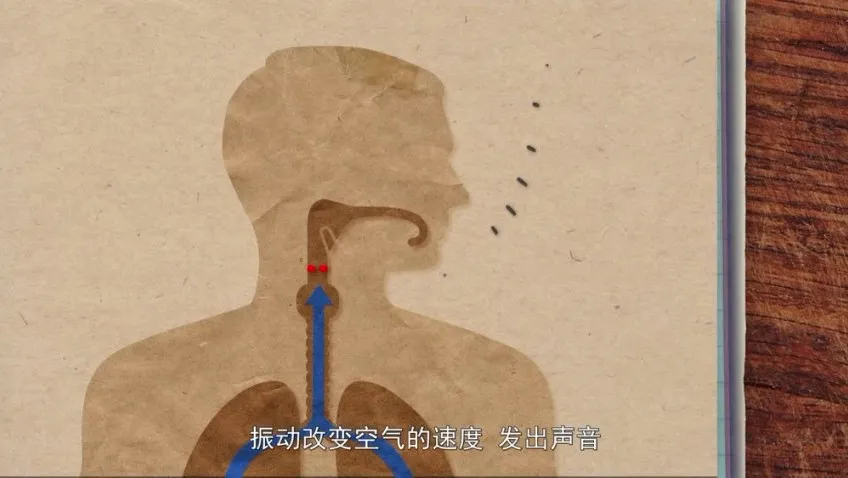 奇妙世界120问：儿童科普百科动画