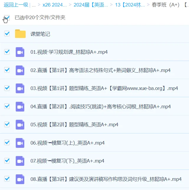 2024高三高考英语林懿琼A+春季班课程