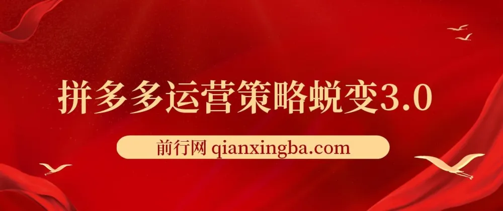 大力老师·2024拼多多运营策略蜕变3.0：提升认知与实现盈利课程