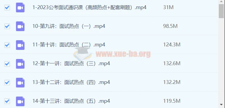 远山2023公考面试通识课(理论+刷题)