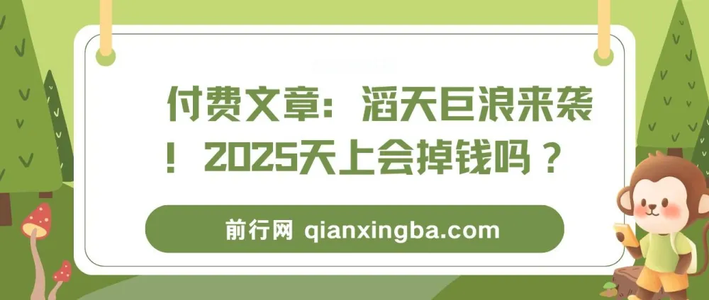 付费文章:滔天巨浪来袭!2025天上会掉钱吗?——经济形势与风口解读