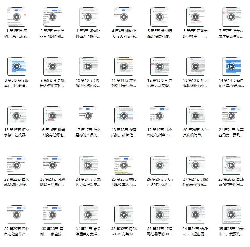 ChatGPT运营秘诀与变现攻略100节课