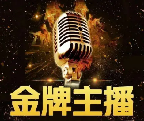 2025进阶金牌主播：摸清算法逻辑课程