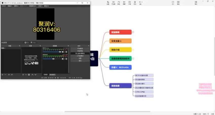 抖音无人直播：美女小游戏蓝海项目资料