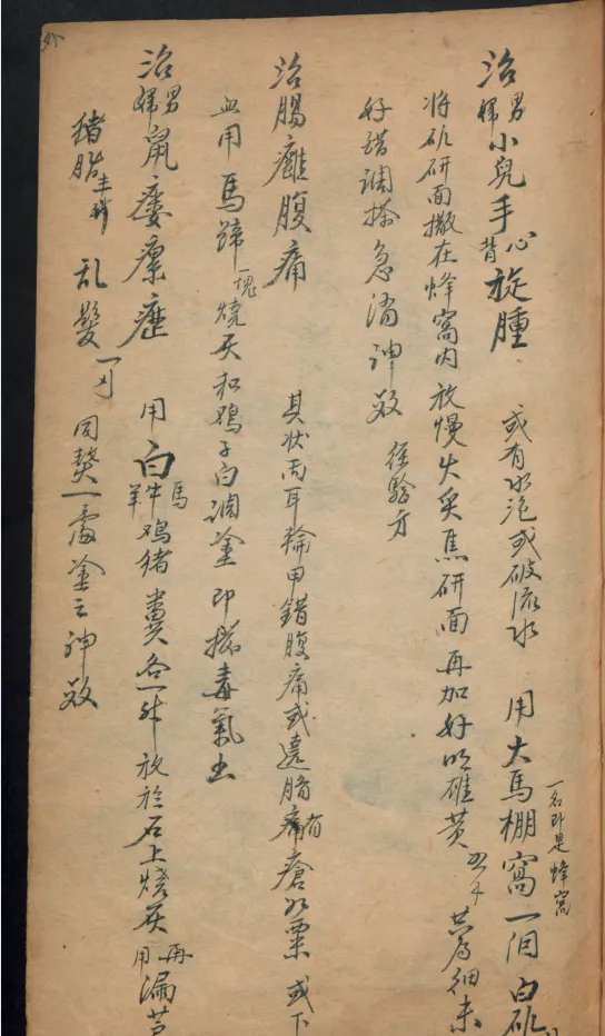 德国某大学收藏的稀缺中医古籍 [PDF]