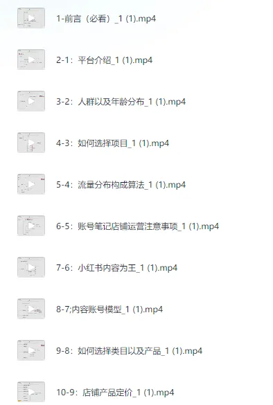 小红书电商实战保姆级教程:从小白到精英的进阶指南