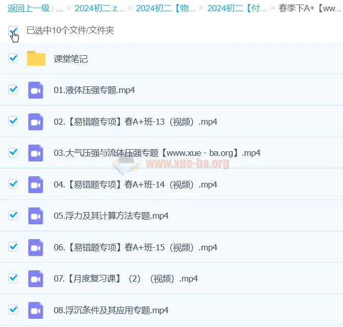 付雷物理 2024初二物理 A+ 寒春课程