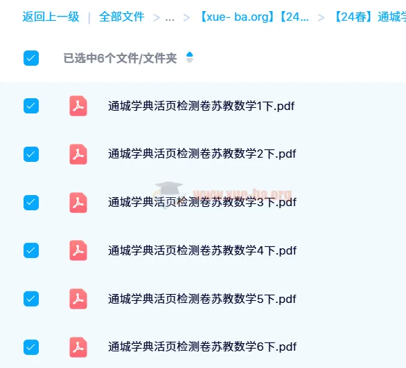 2024 春季通城学典活页检测卷数学(1 - 6 年级)