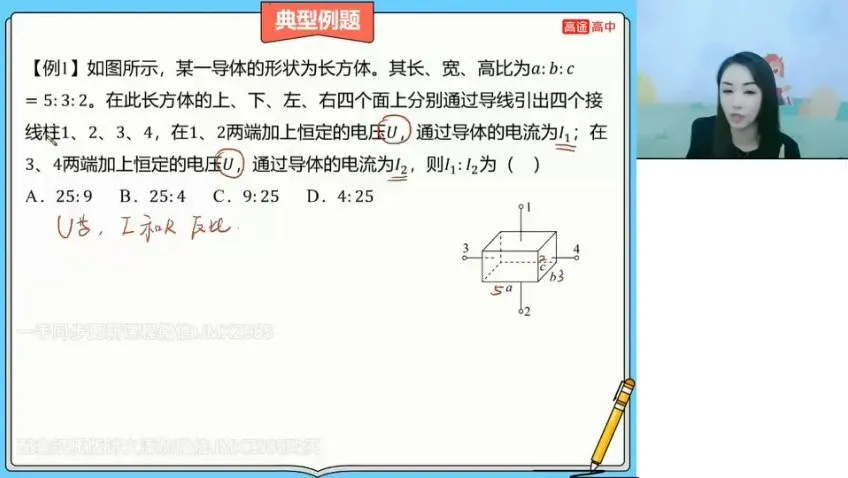 谢丽荣2024高二物理暑假班：电路、磁场、动量精讲