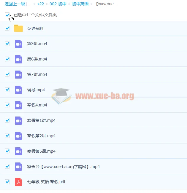 王冰 2020 寒假初一英语 7 讲课程(含讲义)