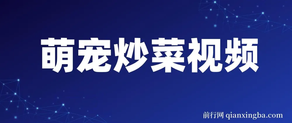 利用AI制作萌宠炒菜爆款视频项目介绍