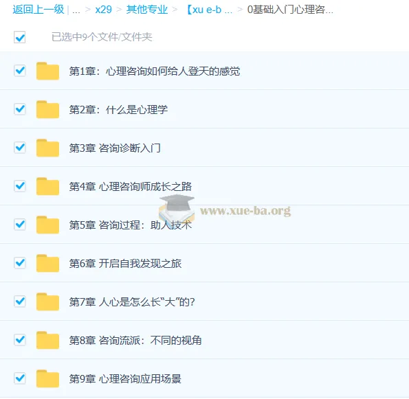 零基础入门心理咨询师:60堂启蒙课