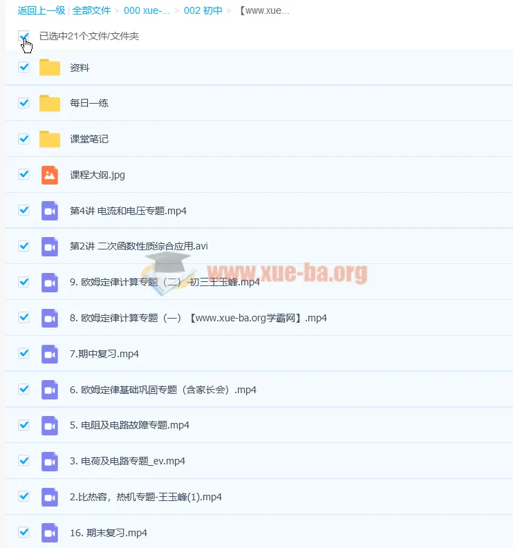 王玉峰初三物理秋季尖端班（2020秋·16讲完结含讲义）