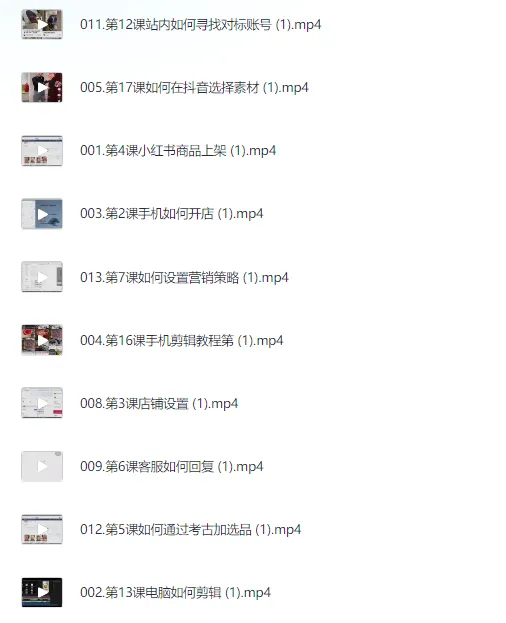 小红书电商实操课：0基础小白轻松掌握平台玩法与运营规则