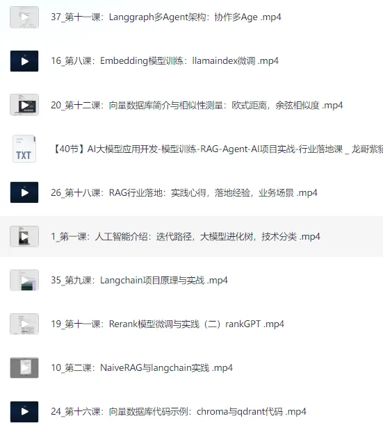 AI大模型应用开发与模型训练:RAG - Agent项目实战行业落地课