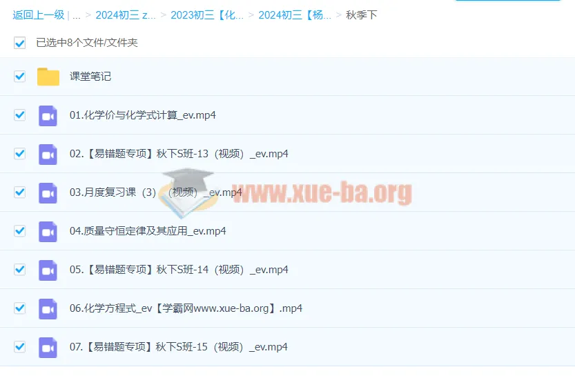 2024初三中考化学杨雯智S秋季班(下)