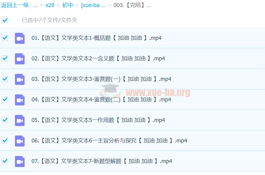 2024中考语文文学类文本一本通(完结)