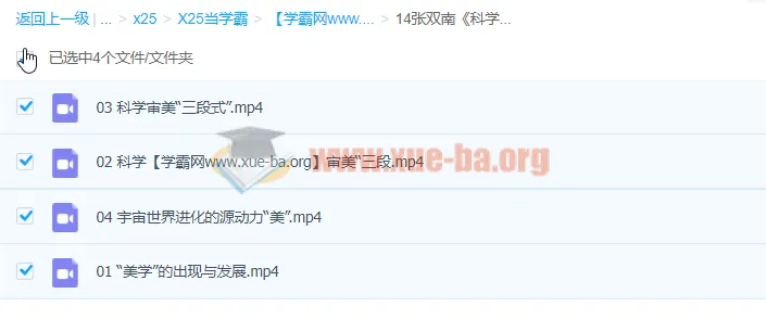 张双南《科学审美与宇宙观》课程